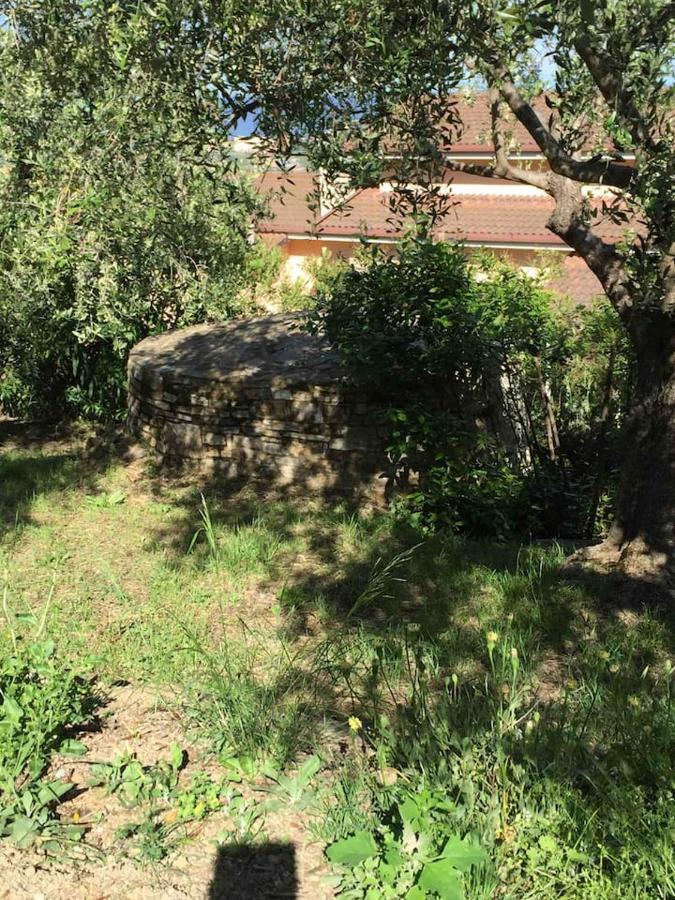 Casa Solemar Holiday home Imperia